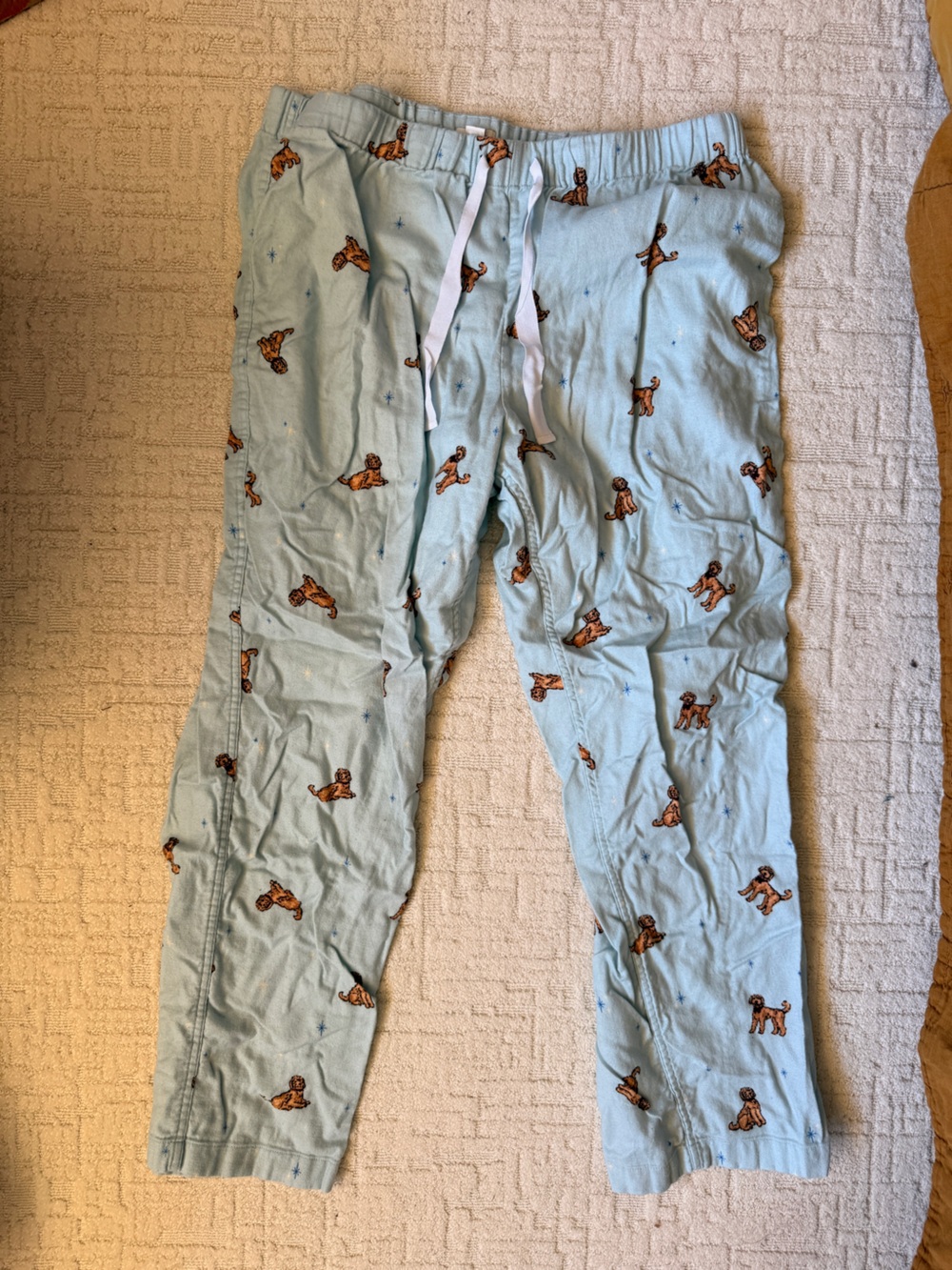 J. Crew Light Blue adult flannel pajama pants with doodle Print
